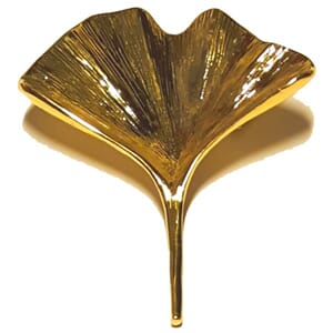 Brosje med ginkomotiv