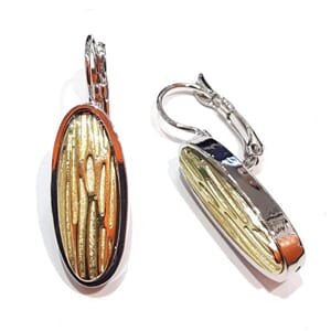 Ørebrichurer i "gull" og "sølv"