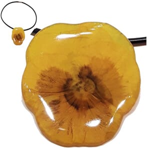 Anheng med ekte stemorsblomst