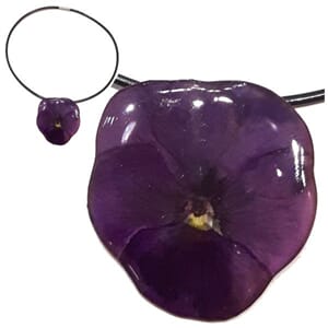 Anheng med ekte stemorsblomst