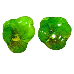 Ørestuds med ekte stemorsblomst